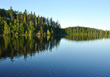 Douglas Lake Homes