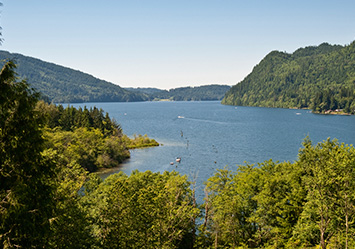 Watts Bar Lake Homes